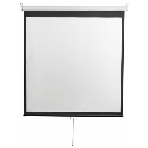 Экран 240x240см Digis Optimal-D DSOD-1107 1:1 настенно-потолочный рулонный